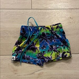Colorful Palm Tree Kids Swim Trunks